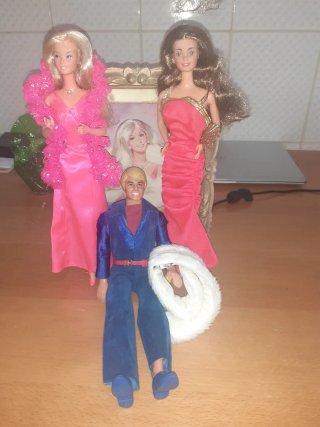Barbie Superstar Ken Pelliccia Cassaforte