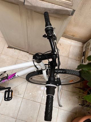 Bicicleta Blanca Montaña