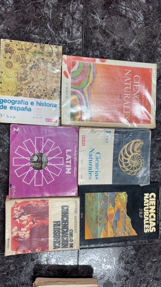 Lote de libros escolares antiguos (EGB, BUP y COU)