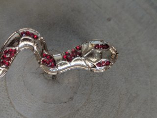 Pendientes Serpiente Dorados con Circonitas Rojas