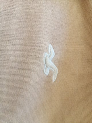 Sudadera Hollister degradada