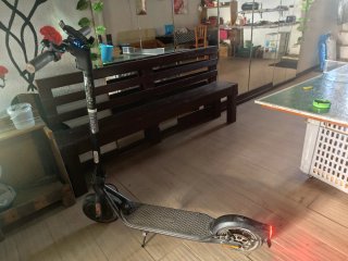 Patinete Eléctrico Segway-Ninebot F25E