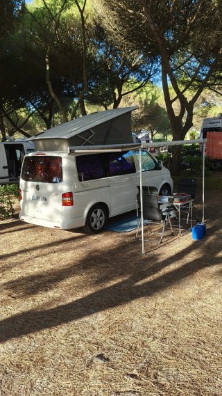 Volkswagen California 2009