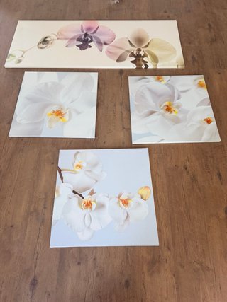 Conjunto de 4 cuadros de orquídeas