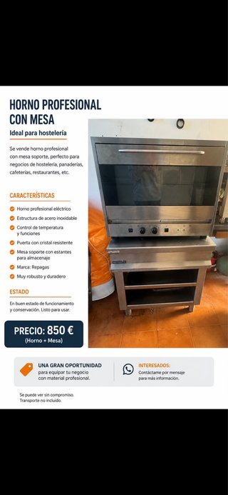 Horno Profesional Eléctrico con Mesa