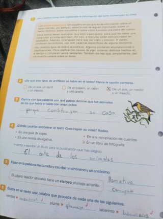 Lengua +, 6 Primaria, Tareas y destrezas comuni...