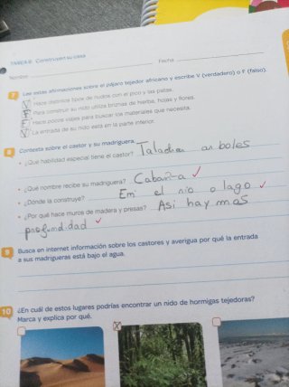Lengua +, 6 Primaria, Tareas y destrezas comuni...