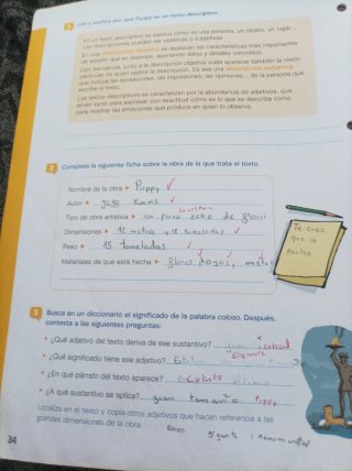 Lengua +, 6 Primaria, Tareas y destrezas comuni...