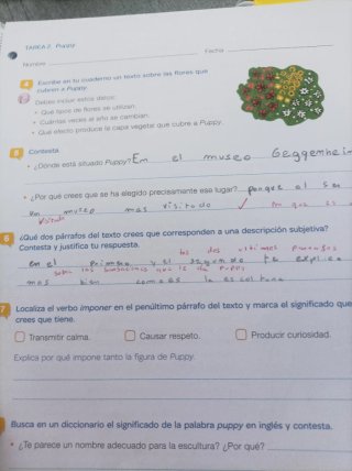 Lengua +, 6 Primaria, Tareas y destrezas comuni...
