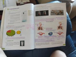 Biología y Geología : 1o ESO : Revuela