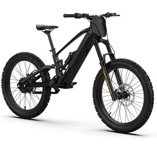 Bicicleta Eléctrica RFN ZIP 1000W 48V