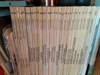 Colección Asterix Uderzo (29 tomos)
