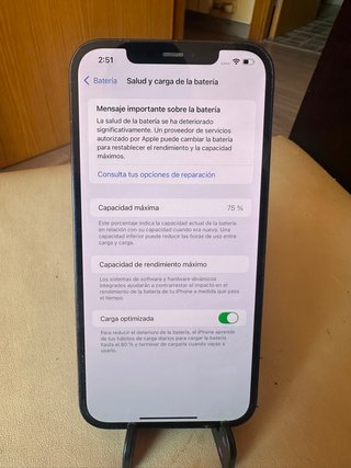 iPhone 12 Pro Max 256 GB
