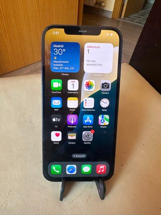 iPhone 12 Pro Max 256 GB