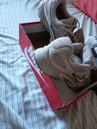Zapatillas Nike Beige/Gris