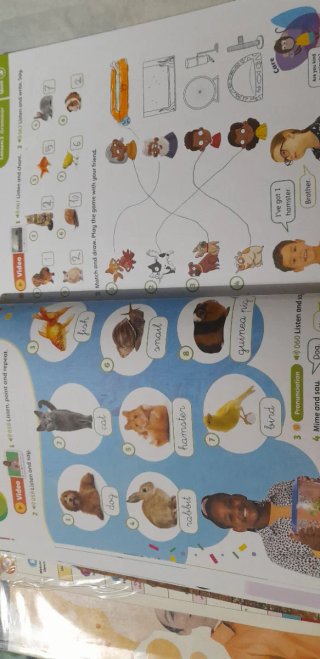 Open Up 1 class book y activity book