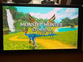 Monster Hunter Stories 2 Nintendo Switch
