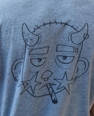 Camiseta serigrafiada gris