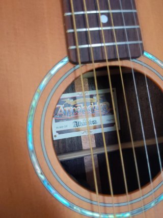 Guitarra Acústica electrificada Alhambra