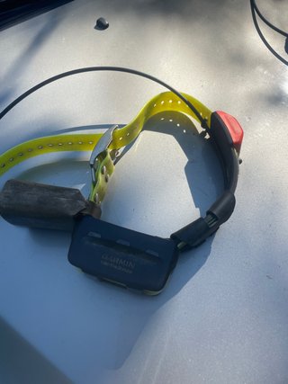 Garmin Tri-Tronics Collar Perro