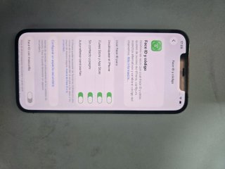 iPhone 12 Pro Max Oro