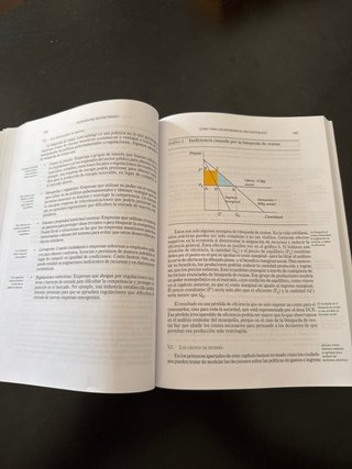 Manual de economia en el sector público