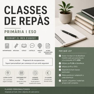 Classes particulars de repàs