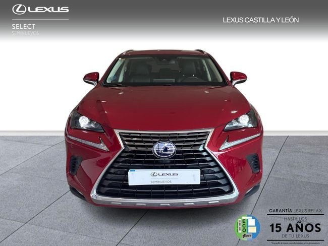 Lexus NX 300h EXECUTIVE NAVIGATION 2018, foto 2