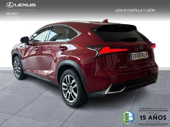 Lexus NX 300h EXECUTIVE NAVIGATION 2018, foto 3