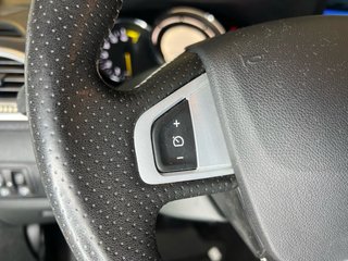 RENAULT MEGANE-DISTINTIVO AMBIENTAL C(verde)