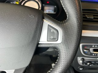 RENAULT MEGANE-DISTINTIVO AMBIENTAL C(verde)