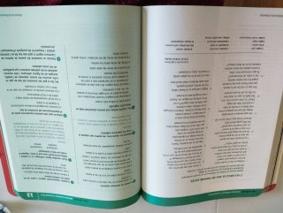Llengua catalana i literatura 1 BAT