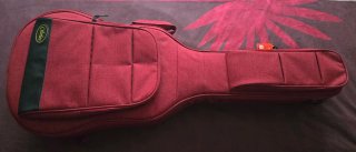 Guitarra Flamenca Nueva
