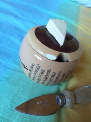 Formaggera Parmareggio con coltellino