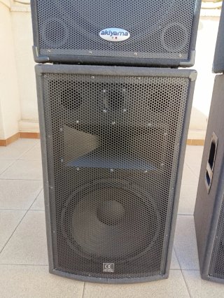 SET PA ALTAVOCES PASIVOS PROFESIONALES 1300 W RMS