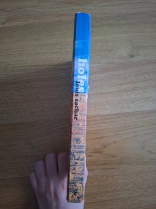 Libro Holes