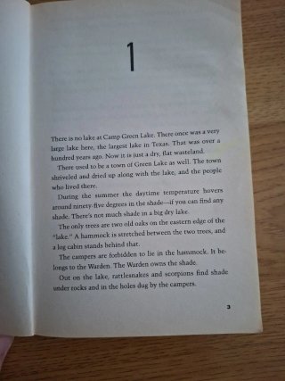 Libro Holes