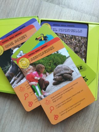 Lotto carte e giochi per bambini