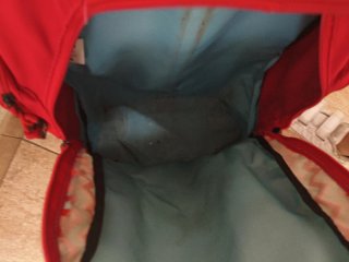 Mochila con ruedas y luces