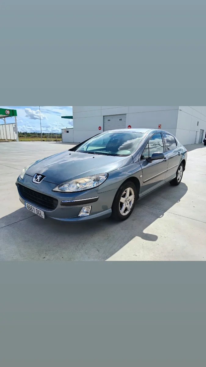 Peugeot 407 2005 - foto 1