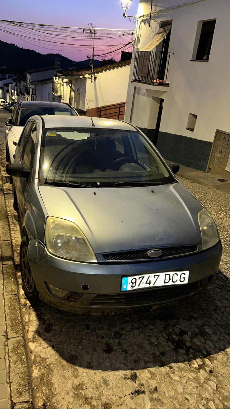 Ford Fiesta 2004 - foto 1