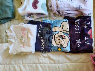 Lote Ropa Infantil 12-18 Meses