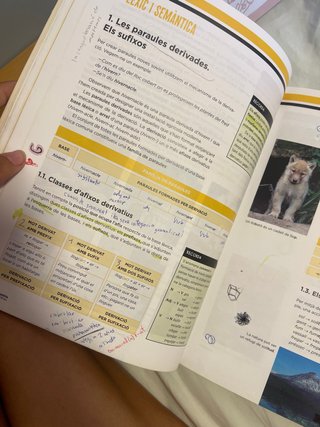 Llengua catalana, 3 ESO