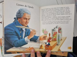 El Libro Secreto de los Gnomos (completa)