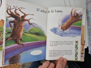 El Libro Secreto de los Gnomos (completa)