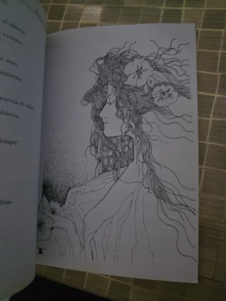 Rimas y Leyendas (Biblioteca Didactica Anaya) (...