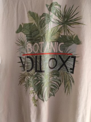 Camiseta Livergy Estampado Botánico