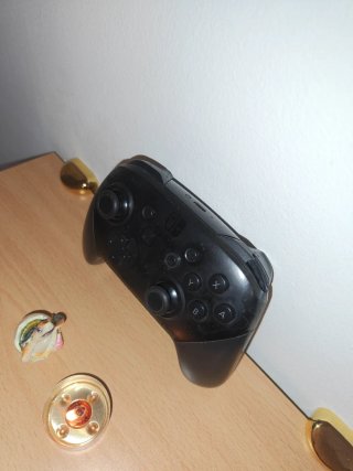 Mando Nintendo Switch Pro