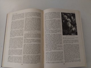 Enciclopedia della Famiglia