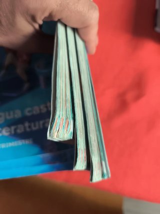 Lengua castellana y literatura  4 primaria SM